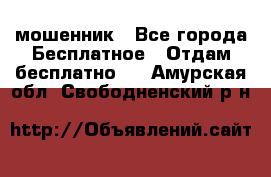 мошенник - Все города Бесплатное » Отдам бесплатно   . Амурская обл.,Свободненский р-н